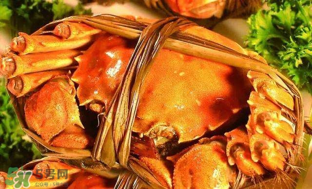 螃蟹吃什么食物長(zhǎng)得大？十月份吃什么螃蟹？