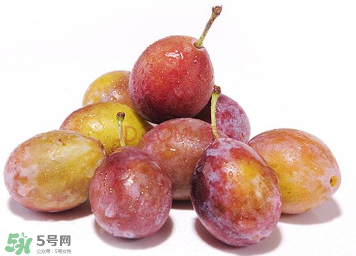 西梅汁怎么做？西梅汁的功效與作用 