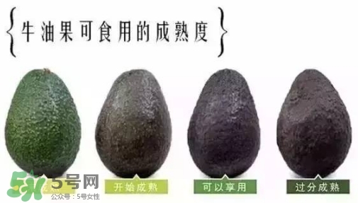 牛油果是什么味道？牛油果是甜的嗎？