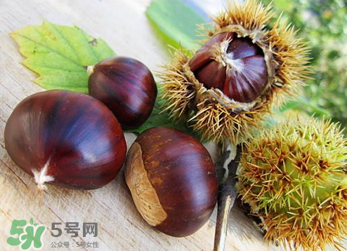 板栗泡酒真的能壯陽嗎？板栗泡酒有什么功效？