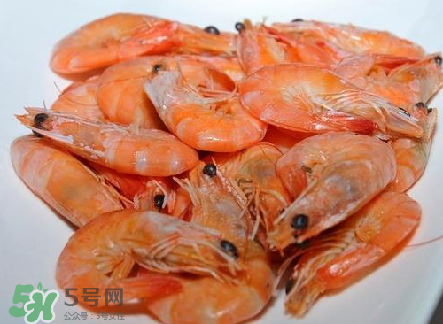 水煮蝦用什么蝦？水煮蝦要放鹽嗎？