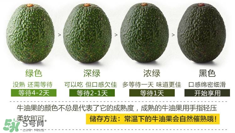 牛油果生的能吃嗎？牛油果怎么催熟快？
