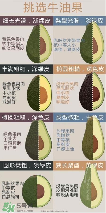 牛油果怎么挑選？牛油果多少錢一斤？