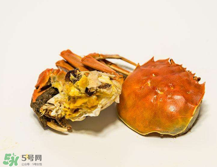 哪種螃蟹有蟹黃？哪種螃蟹蟹黃最多？