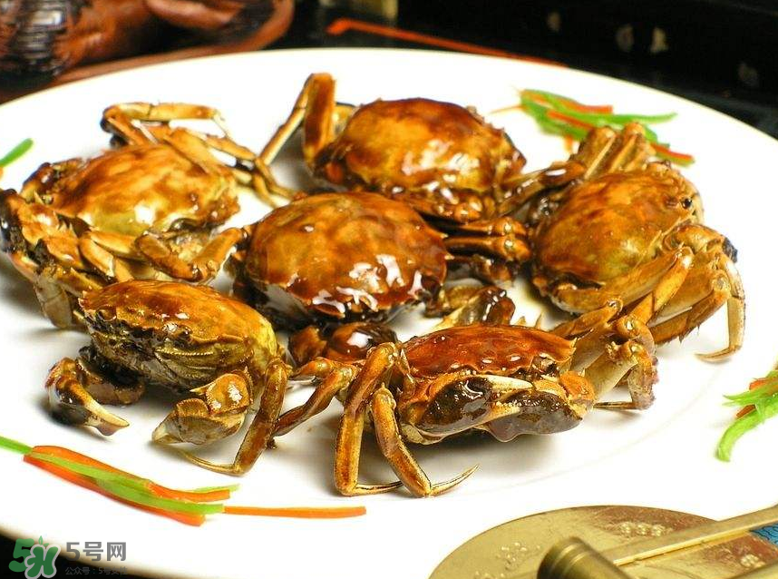 哪種螃蟹肉多？哪種螃蟹最好吃？