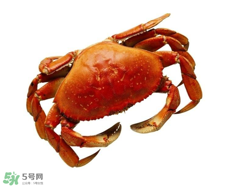 哪種螃蟹不能吃？什么樣的螃蟹不能吃？