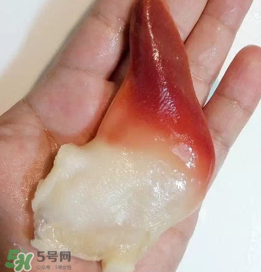 北極貝多少錢一斤？北極貝長什么樣子