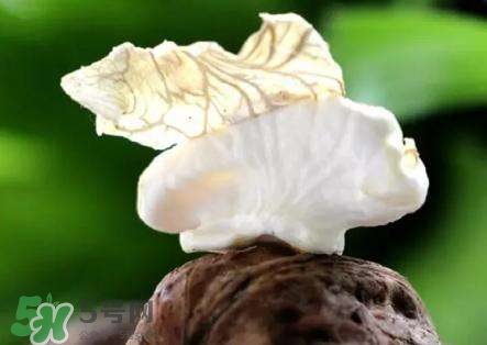新鮮核桃要?jiǎng)兤幔縿兤r(shí)手變黑怎么清洗？