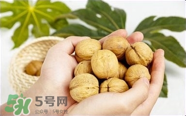 核桃怎么挑選好壞？怎么辨別核桃的好壞？