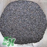 核桃粉怎么做？核桃粉的功效與作用