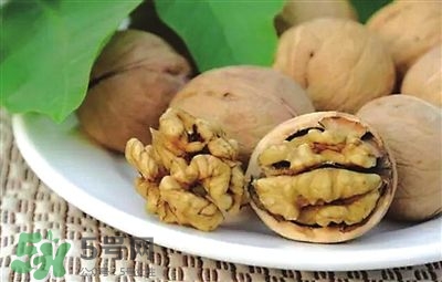核桃分心木可以煲湯嗎？核桃分心木可以和枸杞泡水嗎？