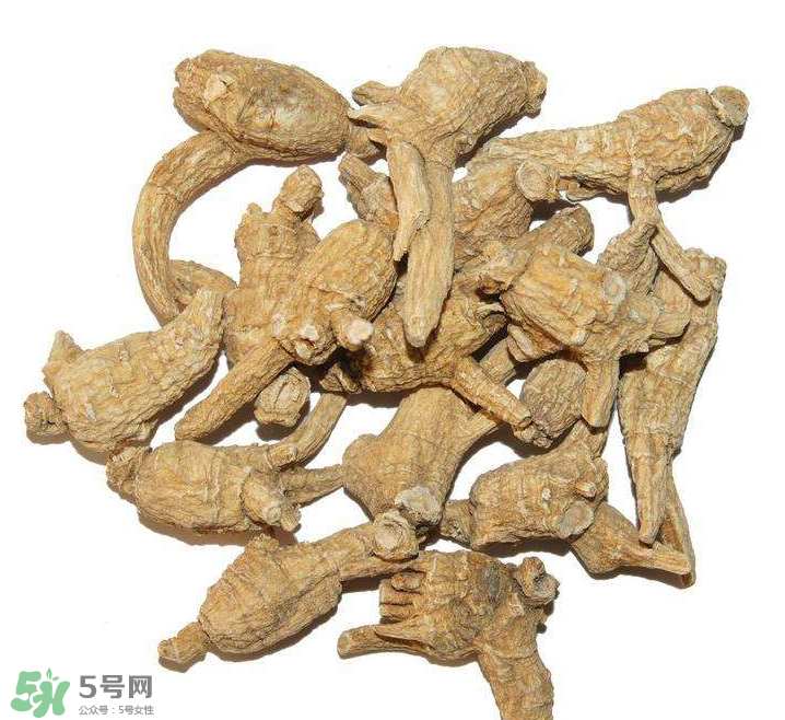 花旗參和西洋參的區(qū)別 花旗參好還是西洋參好？