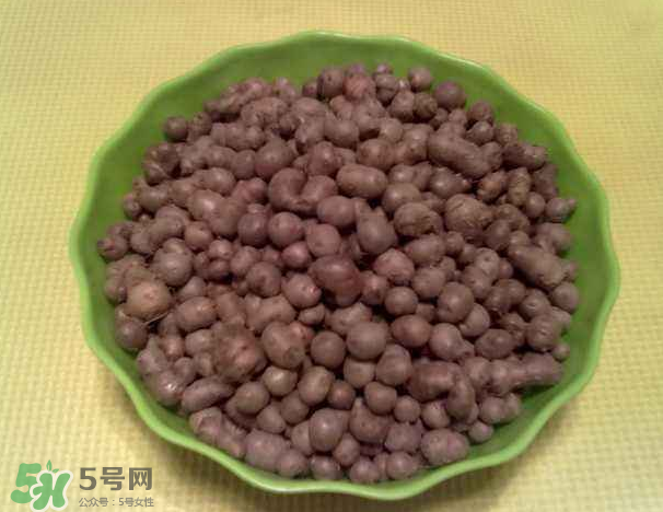 山藥豆是什么東西？山藥豆是長在土里嗎？
