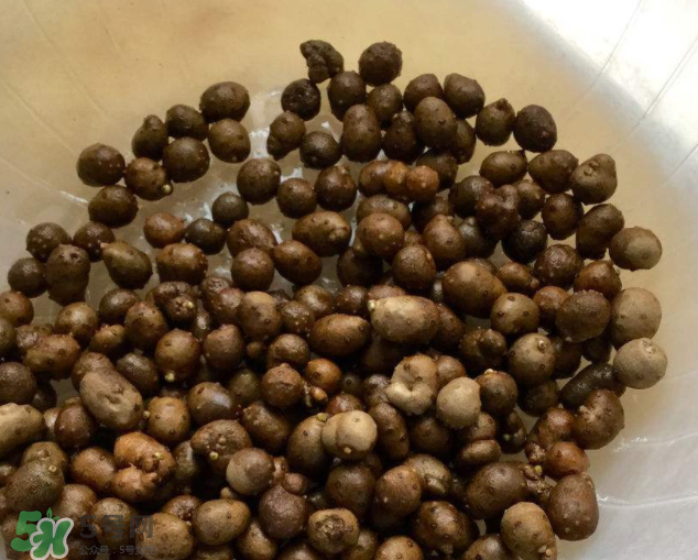 山藥豆能生吃嗎？山藥豆能帶皮吃嗎？