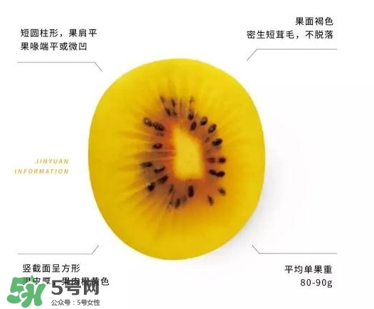 黃心獼猴桃叫什么名字？黃心獼猴桃是什么品種