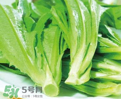 萵苣葉能吃嗎？萵苣葉和油麥菜有什么區(qū)別
