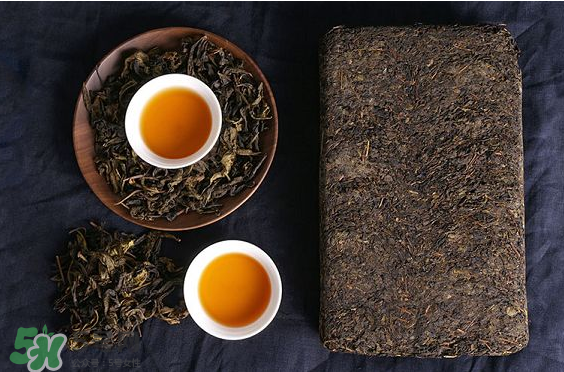 茯茶是熱性還是涼性？茯茶是不是放越久越好？