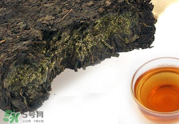 茯茶是熱性還是涼性？茯茶是不是放越久越好？