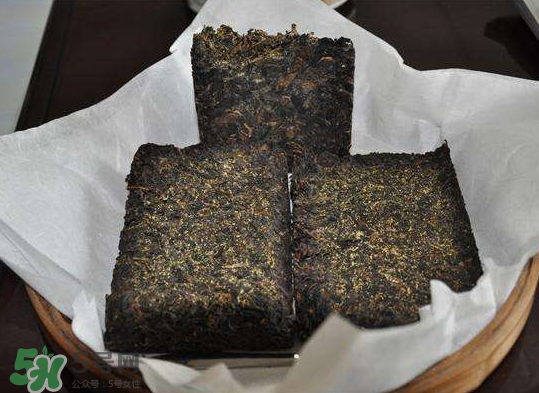 茯茶是熱性還是涼性？茯茶是不是放越久越好？