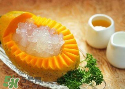 雪蛤膏是啥？雪蛤膏的功效與作用
