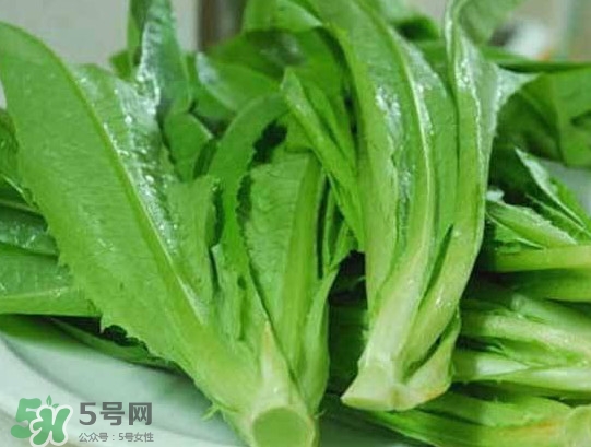 孕婦能吃涼拌萵苣葉嗎？萵苣葉煮水可以治蕁麻疹嗎