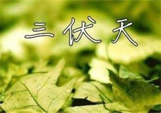 為什么三伏天最熱？如何過(guò)好三伏天？