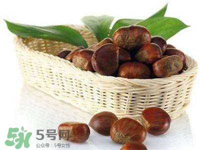 板栗酒能治療腎陽虛嗎？板栗泡酒真的能壯陽嗎？