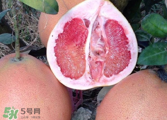 三紅蜜柚口味怎么樣？三紅蜜柚苗多少錢一棵
