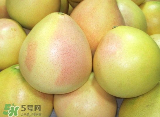 三紅蜜柚什么時(shí)候種植？三紅蜜柚什么時(shí)候成熟