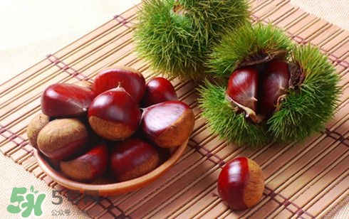 板栗酒能治療腎陽虛嗎？板栗泡酒真的能壯陽嗎？