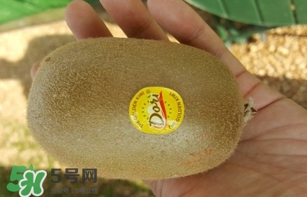 黃心獼猴桃叫什么名字？黃心獼猴桃是什么品種