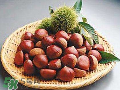 板栗酒能治療腎陽虛嗎？板栗泡酒真的能壯陽嗎？