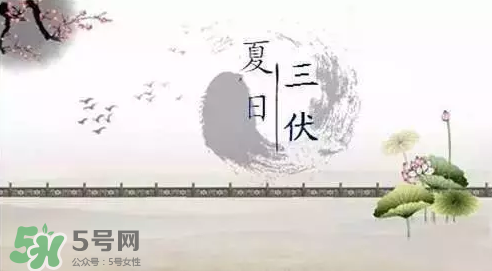 三伏天練什么？三伏天具體怎么養(yǎng)生？
