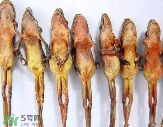 雪蛤干多少錢一斤？雪蛤干怎么吃？