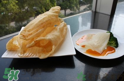 花膠可以放多久？花膠可以放冰箱嗎？