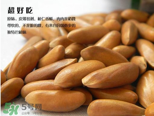 松籽可以生吃嗎？松籽怎么儲藏保存