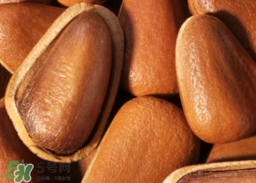 松籽什么季節(jié)采摘？吃松籽有什么好處？
