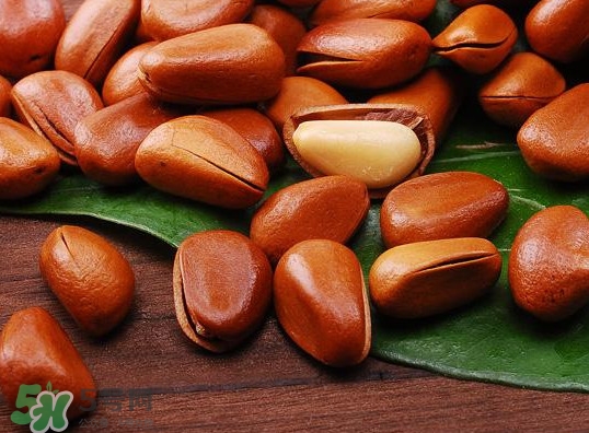 松籽可以生吃嗎？松籽怎么儲藏保存