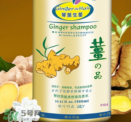 琴葉生姜洗發(fā)水好用嗎？琴葉生姜洗發(fā)水真假