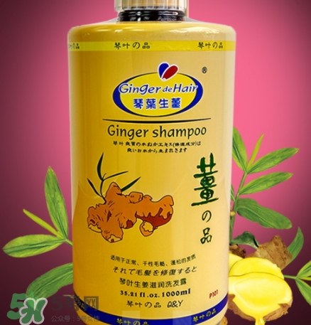 琴葉生姜洗發(fā)水好用嗎？琴葉生姜洗發(fā)水真假