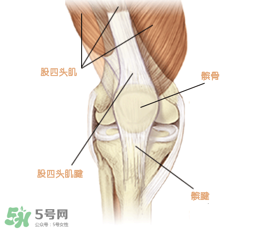 風(fēng)濕可以吃螃蟹嗎？得了風(fēng)濕能吃螃蟹嗎？