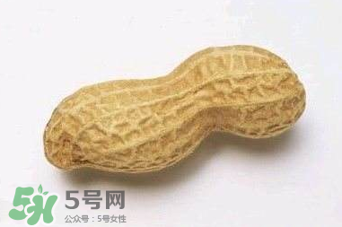 花生有哪些種類型？花生怎么栽培管理？