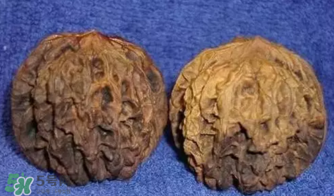 核桃上的陰皮是什么？核桃對血管的作用