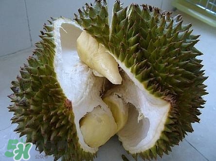 榴蓮和雞蛋能一起吃嗎？榴蓮和什么不能一起吃？
