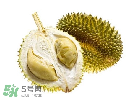 榴蓮籽能種嗎？榴蓮籽怎么種小盆栽？