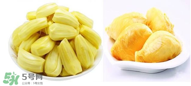 榴蓮和菠蘿蜜一樣嗎？榴蓮和菠蘿蜜哪個營養(yǎng)好？