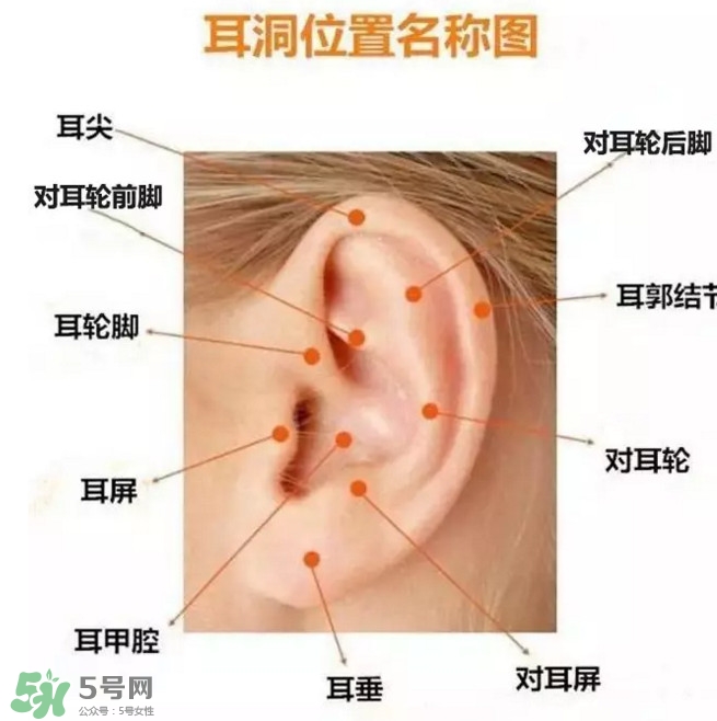 打耳洞多少錢(qián)一對(duì)？打耳洞相當(dāng)于什么疼