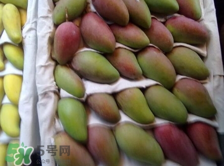 芒果有哪些品種？哪種芒果最好吃？