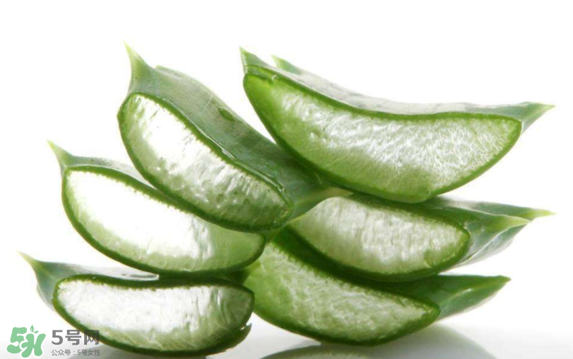 敏感肌能使用蘆薈護(hù)膚嗎？蘆薈膠有什么用？