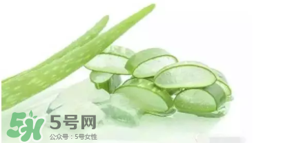 蘆薈怎么吃？蘆薈番茄湯的做法 